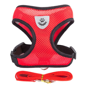Dogs Puppy Harness