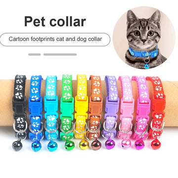 Footprint Personalized Kitten Collar